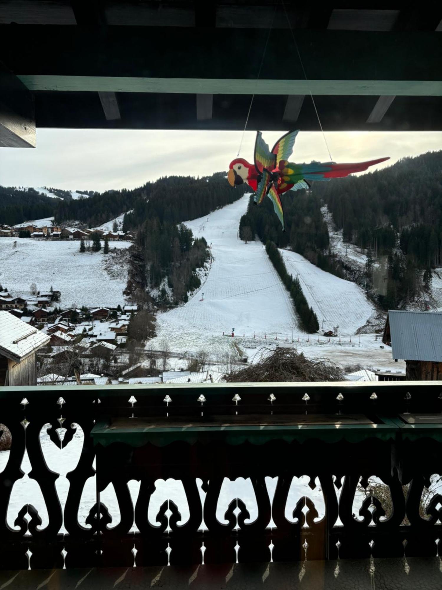 Chalet Fleur Des Alpes Les Gets Kültér fotó